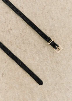 Anemone Belt