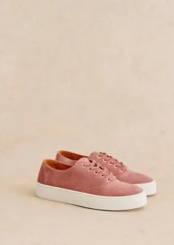Matteo Baskets
