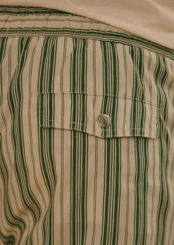Rob Swim Shorts